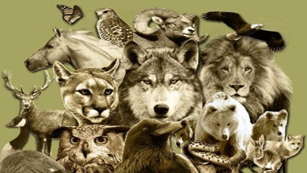 nabolo-shamanic-journey-underworld